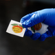 ATLANTA, GA - JUNE 09: A polling place worker holds an “I’m a Georgia Voter” sticker to hand to a voter on June 9, 2020, in Atlanta, Georgia. Georgia, West Virginia, South Carolina, North Dakota, and Nevada are holding primaries amid the coronavirus pandemic.